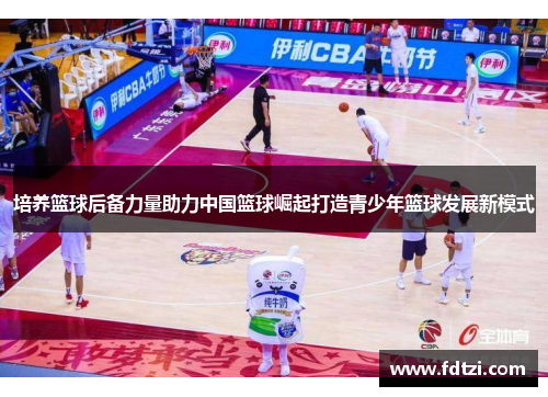 培养篮球后备力量助力中国篮球崛起打造青少年篮球发展新模式 培养篮球后备力量助力中国篮球崛起打造青少年篮球发展新模式