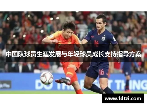 中国队球员生涯发展与年轻球员成长支持指导方案