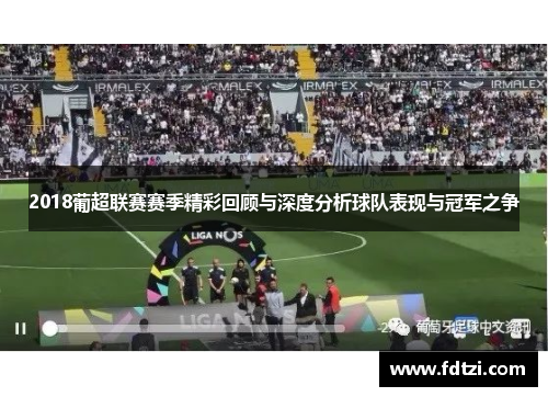 2018葡超联赛赛季精彩回顾与深度分析球队表现与冠军之争