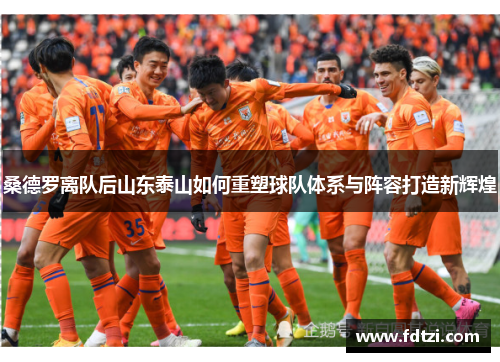 桑德罗离队后山东泰山如何重塑球队体系与阵容打造新辉煌