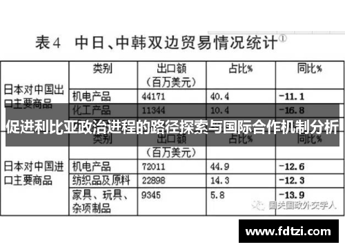 促进利比亚政治进程的路径探索与国际合作机制分析