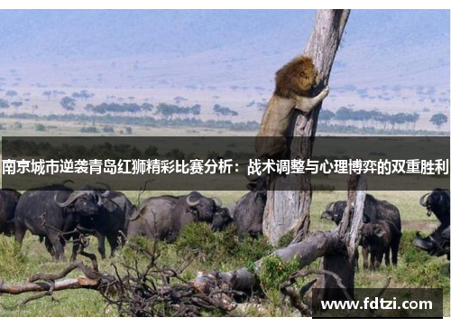南京城市逆袭青岛红狮精彩比赛分析：战术调整与心理博弈的双重胜利