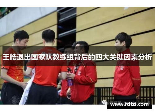 王皓退出国家队教练组背后的四大关键因素分析