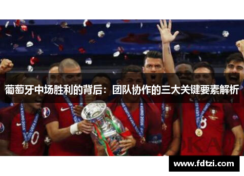 葡萄牙中场胜利的背后：团队协作的三大关键要素解析