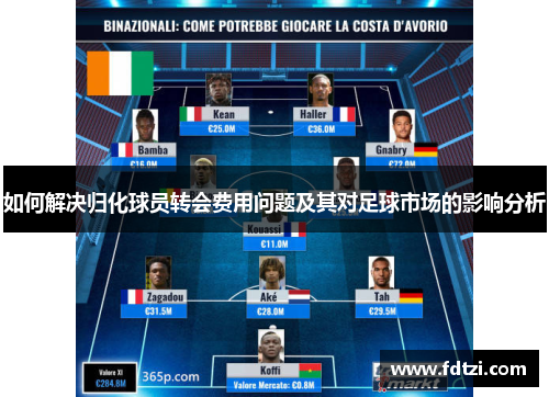 如何解决归化球员转会费用问题及其对足球市场的影响分析 如何解决归化球员转会费用问题及其对足球市场的影响分析